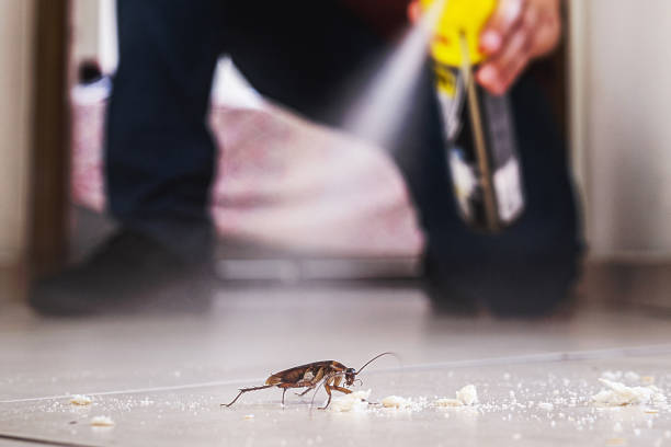 Best Affordable Pest Control Services  in Blossom, TX