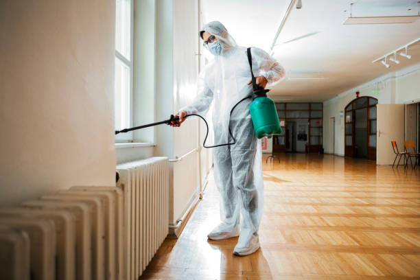 Best Rat Extermination Near Me  in Blossom, TX